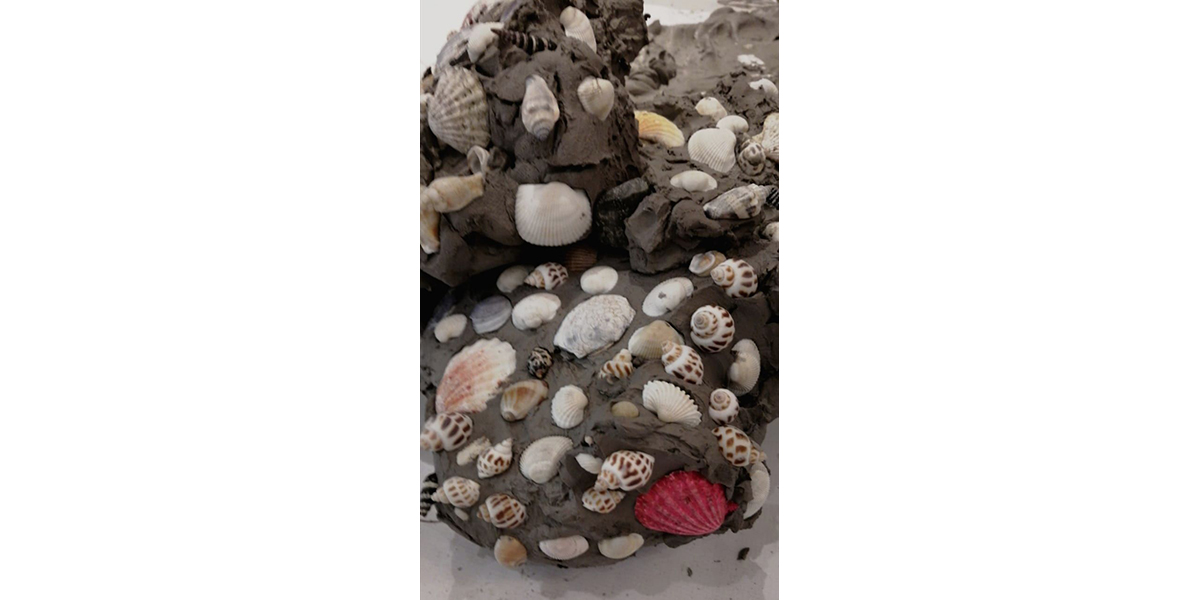 A large chunk of clay with various seashells pressed into it.