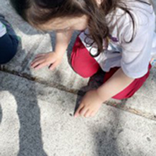 Rethinking “Be Gentle”: Children’s Hands-On Encounters with Nature