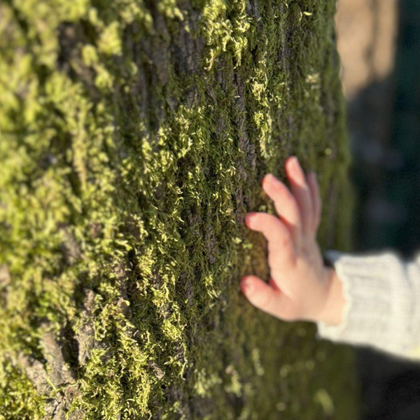 A Narrative: Gifts from The Land, Gifts for Others